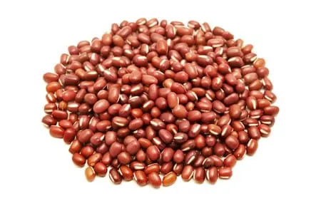 FASOLKA ADZUKI BIO (SUROWIEC) (25 kg) 2