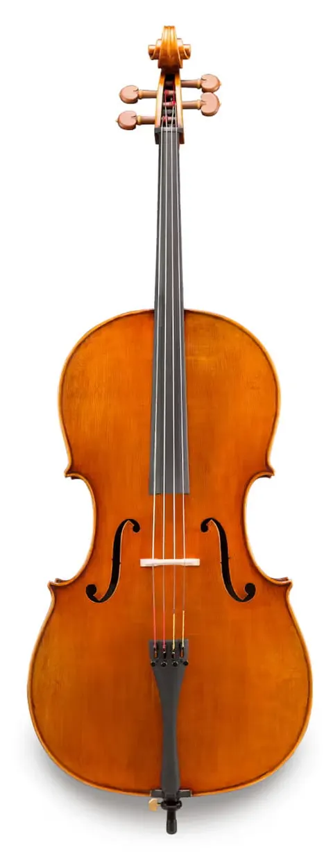 ANDREAS EASTMAN wiolonczela model 3AA Amsterdam Atelier, rozmiar 4/4