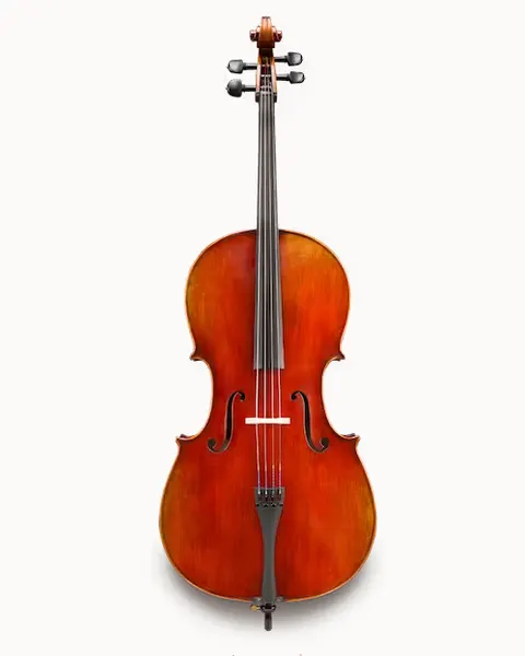 ANDREAS EASTMAN wiolonczela model 605 Andreas Eastman Master 4/4