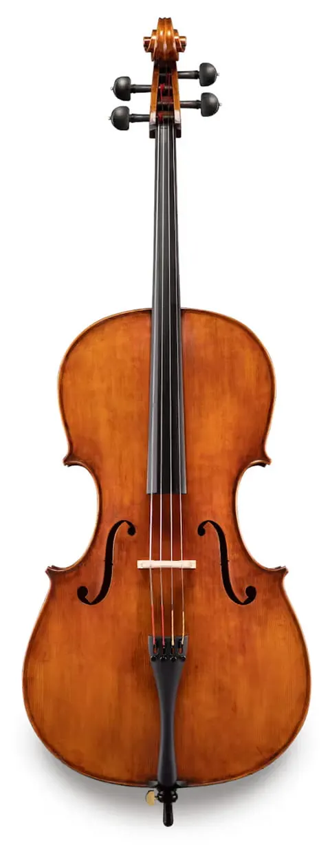 ANDREAS EASTMAN wiolonczela model 830PG Samuel Eastman, rozmiar 4/4