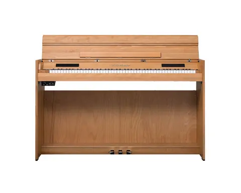 BLUETHNER Homeline Digital Piano