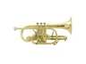 BESSON BE2028-1G-L kornet Bb Prestige