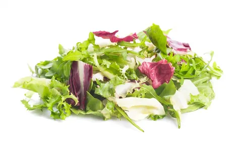 MIX SAŁAT ŚWIEŻY NIEMYTY BIO (około 0,10 kg)
