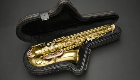 RAMPONE&CAZZANI futerał do saksofonu altowego Deluxe