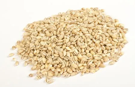 KASZA JĘCZMIENNA PĘCZAK BIO (SUROWIEC) (25 kg) 7
