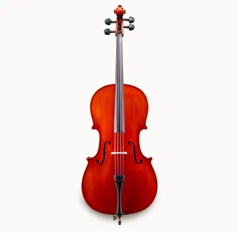 ANDREAS EASTMAN Wiolonczela model 150 Samuel Eastman, 1/2