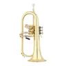 S.E. SHIRES SFGQ19 Flugelhorn B seria Q, lakierowany, z futerałem