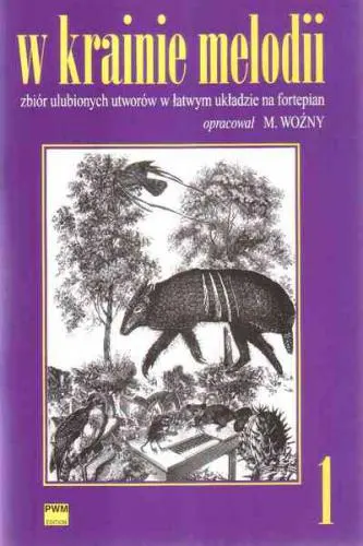 Michał Woźny: W krainie melodii 1