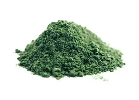 SPIRULINA W PROSZKU (GLONY) BIO (SUROWIEC) (20 kg) 2