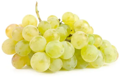 WINOGRONA BIAŁE ŚWIEŻE BIO (około 6 kg)