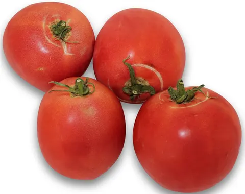POMIDORY MALINOWE ŚWIEŻE BIO (POLSKA) (około 0,50 kg)