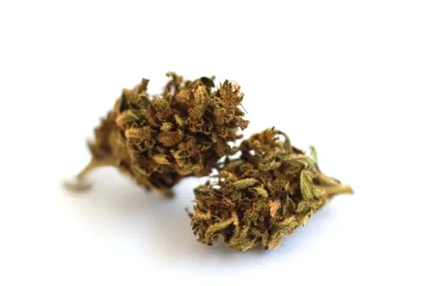 Susz konopny z CBD 11,7% Blue Cheese 2g Cbweed