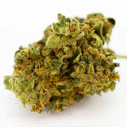 Susz konopny z CBD 12% Super Silver Haze 2g Cbweed