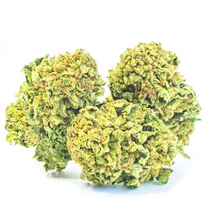 Susz CBD 12,5% Super Lemon Haze bez THC 2g Cbweed