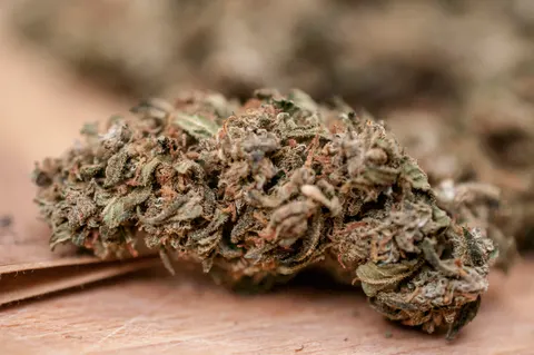 Susz konopny z CBD Remedium Santa Maria 12.7%