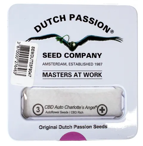 Nasiona konopi CBD Dutch Passion - CBD Auto Charlotte's Angel (Fem.) 3szt.