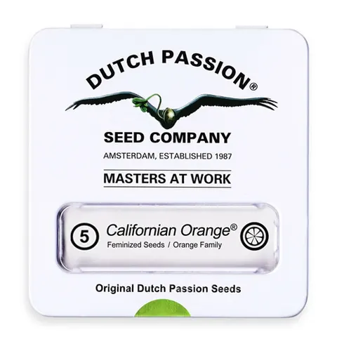 Nasiona konopi Dutch Passion - California Orange (fem) 5 szt.