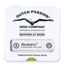 Nasiona konopi Dutch Passion - BlueBerry (fem) 5 szt.