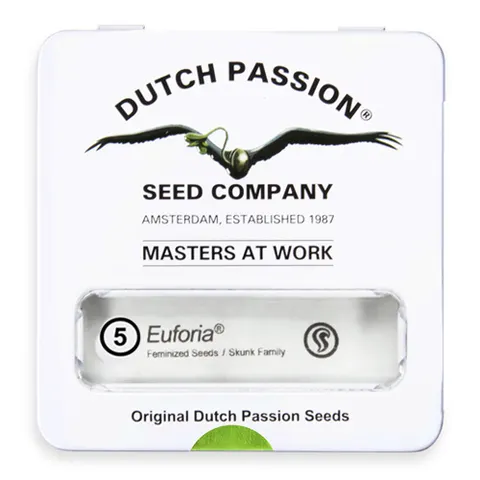 Nasiona konopi Dutch Passion - Euforia (fem) 5 szt.