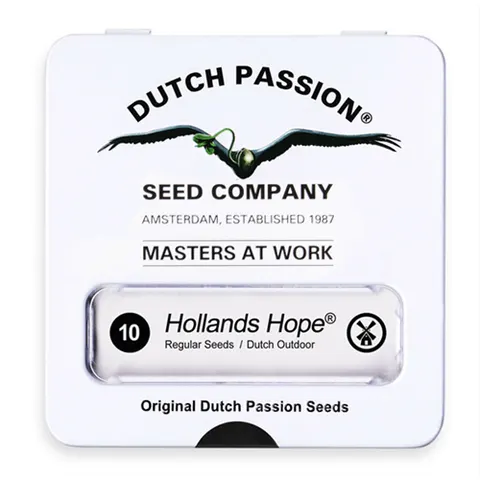 Nasiona konopi Dutch Passion - Hollands Hope (regular)10 szt.