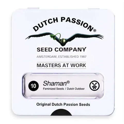 Nasiona konopi Dutch Passion - Shaman (regular) 10 szt.