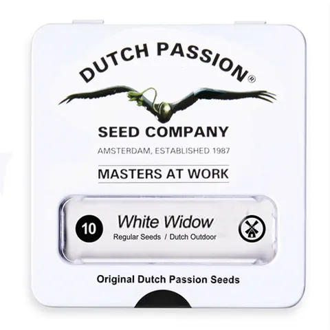 Nasiona konopi Dutch Passion - White Widow 10 szt.