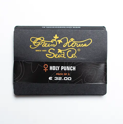 Nasiona konopi CBD - Holy Punch (fem.) 5 szt.