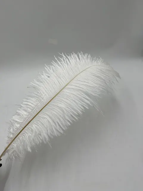 Pióra białe 50-55 cm