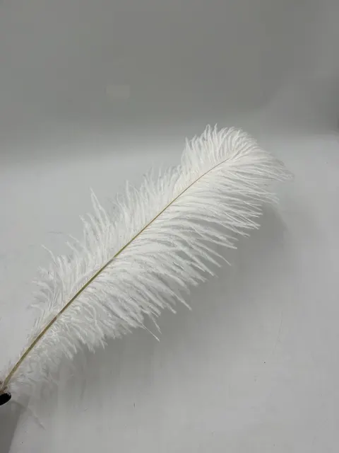 Pióra białe 55-60 cm