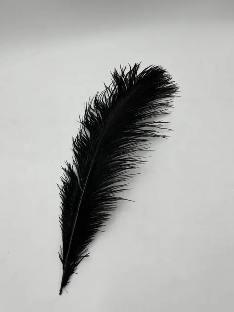 Pióra czarne 40-45 cm