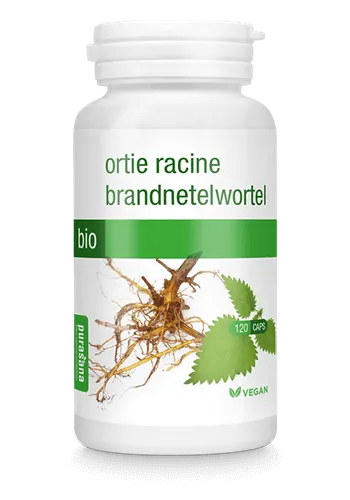 POKRZYWA KORZEŃ BIO 120 KAPSUŁEK (210 mg) - PURASANA