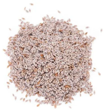 NASIONA BABKI JAJOWATEJ BIO (SUROWIEC) (25 kg) 2