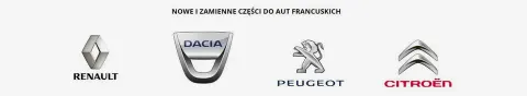 Prowadnica Drzwi Lewa Oryginał 7639100Q0F Master 3
