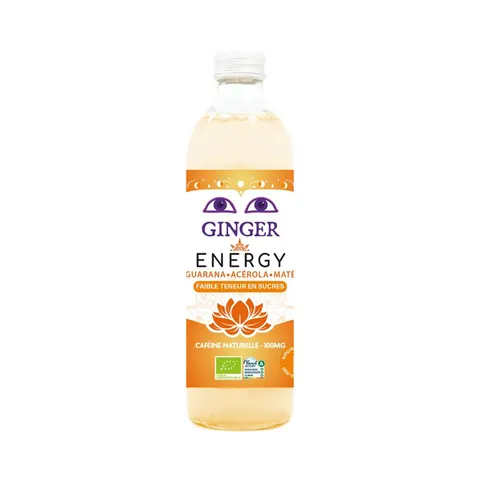 PIWO IMBIROWE ENERGY BEZALKOHOLOWE FAIR FOR LIFE BIO 350 ml - KARMA