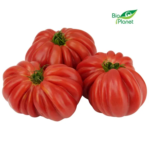POMIDORY BAWOLE SERCE ŚWIEŻE BIO (POLSKA) (około 0,60 kg)