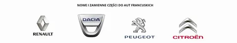 Listwa Drzwi Lewy Przód 8666.FG 8666FG Citroen C3 II Oryginał