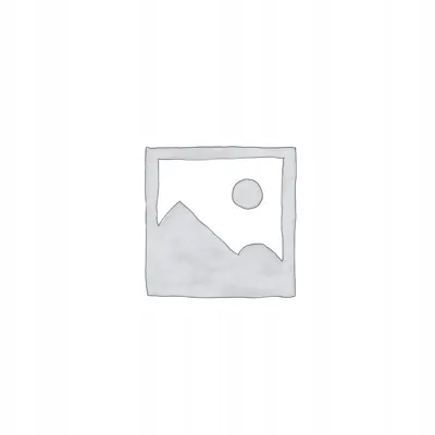 2256895 Tarcza Hamulcowa Tył OE Ford Transit 2006-