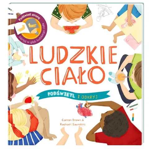 Ludzkie Ciało. Podświetl i Odkryj. Api Papi