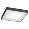 Plafon ONTARIO LED Duży Cza