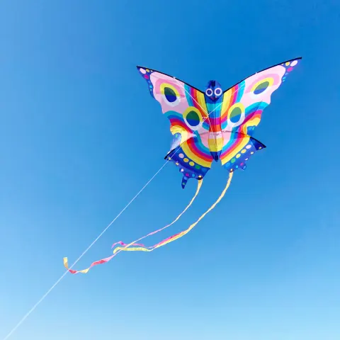 Tiger Tribe Latawiec Motyl