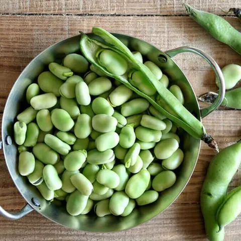 BIO Bób ogrodowy SUPERAGUADULCE nasiona ekologiczne 40g