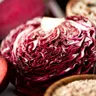 BIO Cykoria sałatowa głowiasta PALLA ROSA 3 nasiona ekologiczne 0,5g