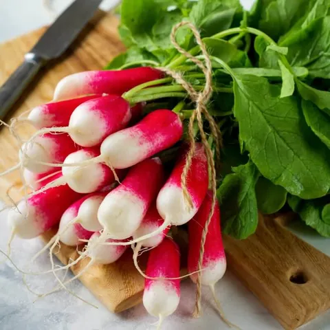 BIO Rzodkiewka FRENCH BREAKFAST 3 nasiona ekologiczne 5g