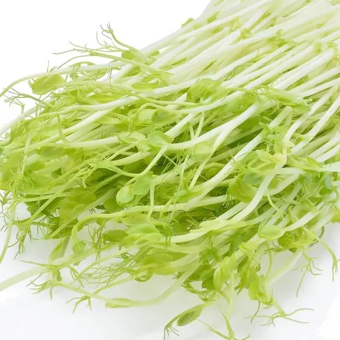 BIO Groch - nasiona na kiełki ekologiczne 40g