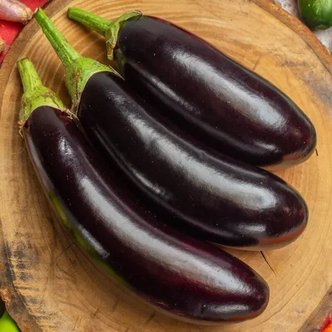 BIO Oberżyna Black Beauty nasiona ekologiczne 0,5g