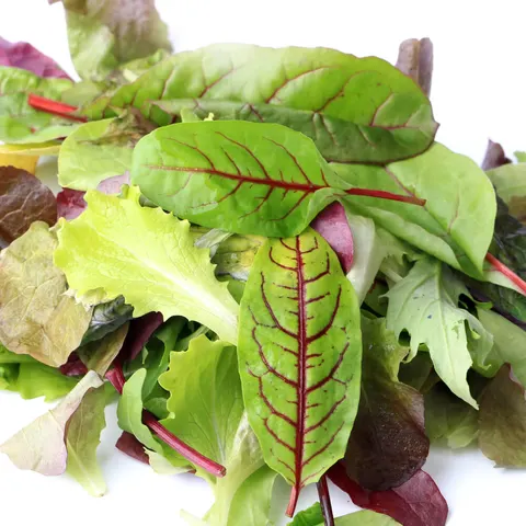 Baby Leaf Sałata mieszanka odmian nasiona 15g