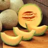 Melon Malaga F1 nasiona 0,5g