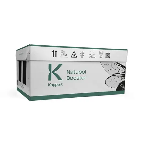 Natupol BOOSTER Trzmiele do upraw krótko kwitnących