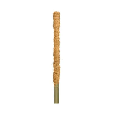 Palik kokosowy tyczka - podpora do roślin 50 cm x 25 mm - 1 szt.