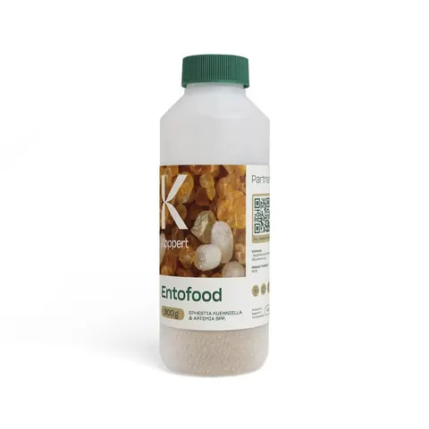 ENTOFOOD pokarm dla dziubałeczka mączlikowego